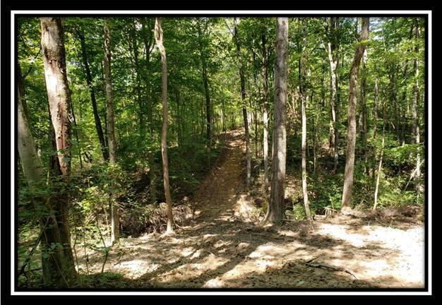 0 Pedigo Ridge Road, Unit TRACT 2) New Marshfield, OH 45766 - Photo 17 of 77 image017