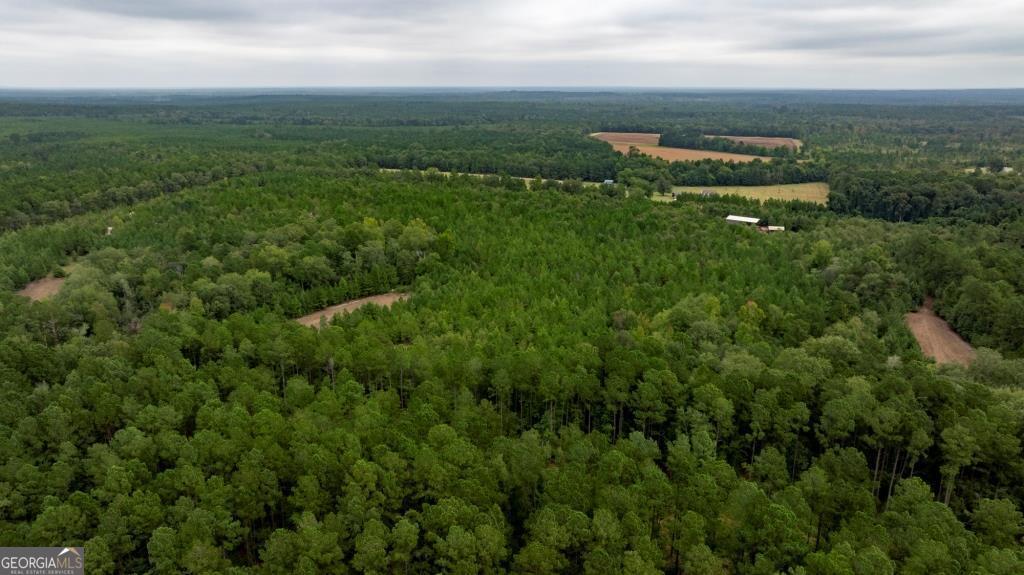 0 Temple Road Waynesboro, GA 30830 - Photo 1 of 1