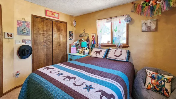 $889,000 | 96 County Road 7, Fairplay, CO 80440