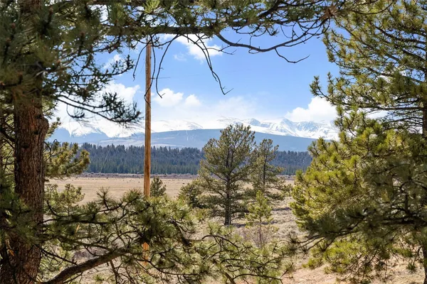 $889,000 | 96 County Road 7, Fairplay, CO 80440