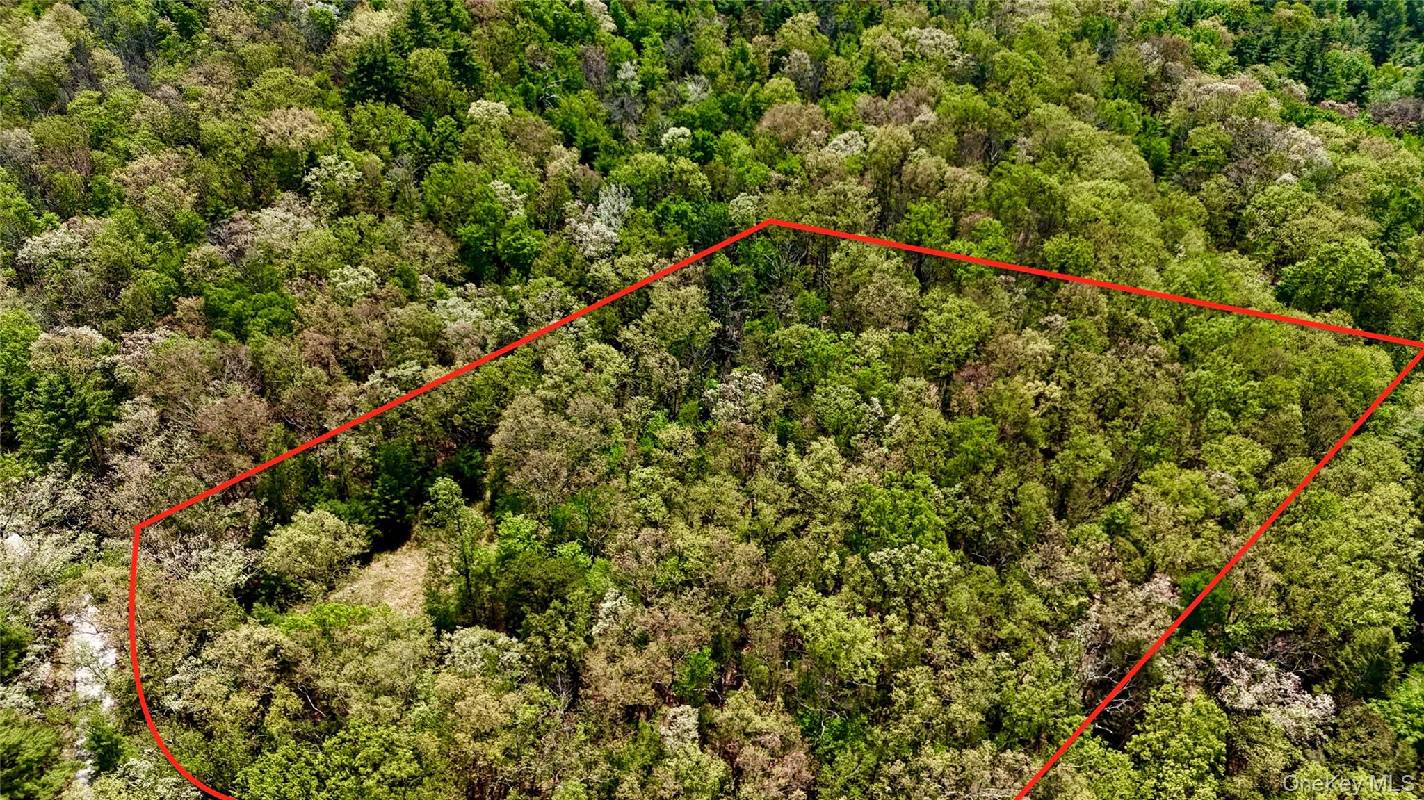 Depot Road Wurtsboro, NY 12790 - Photo 9 of 12 Property lines are an approximation.
