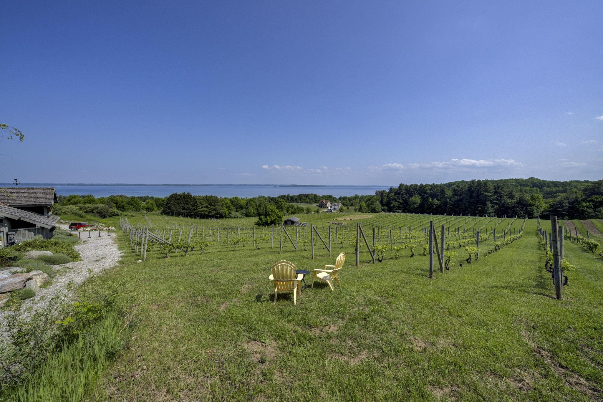 10702 East Hilltop Road Suttons Bay, MI 49682 - Photo 64 of 92