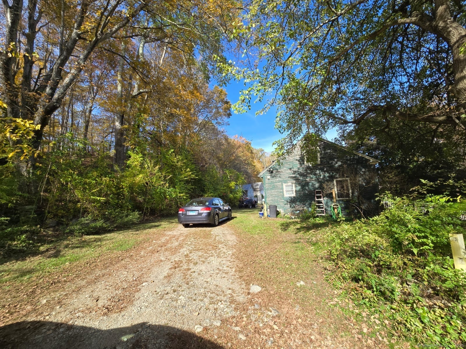 30 Riverside Drive Sprague, CT 06330 - Photo 6 of 38 a view of a yard with large trees