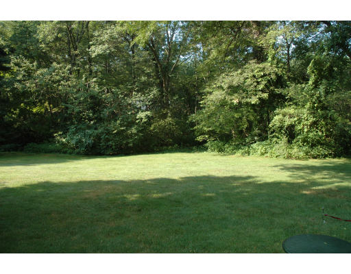 70 Woodfall Road Belmont, MA 02478 - Photo 3 of 10 a view of a green yard