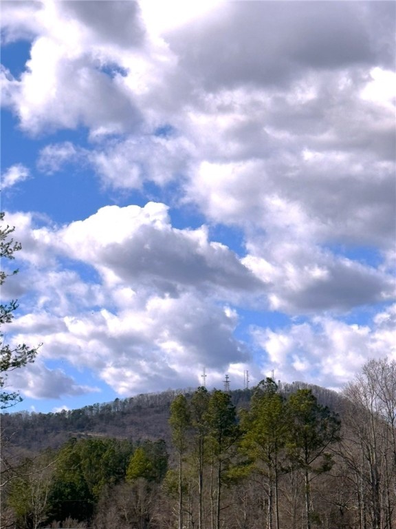 1 Hawk Lane Easley, SC 29640 - Photo 1 of 12