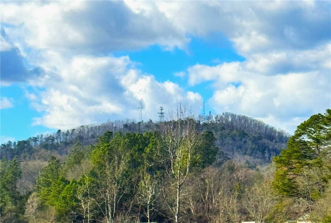 1 Hawk Lane Easley, SC 29640 - Photo 2 of 12