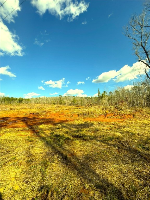 1 Hawk Lane Easley, SC 29640 - Photo 4 of 12