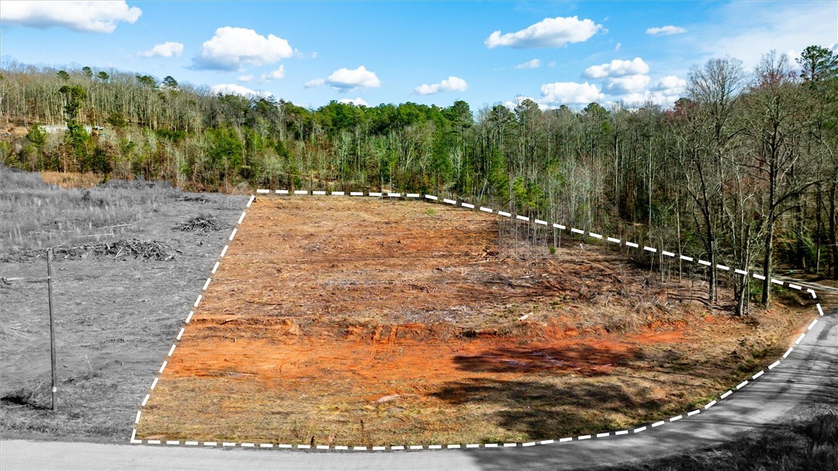 1 Hawk Lane Easley, SC 29640 - Photo 5 of 12 Grass Virtually Added