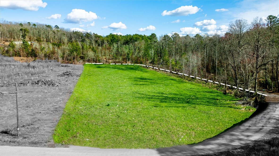 1 Hawk Lane Easley, SC 29640 - Photo 6 of 12 Grass Virtually Added