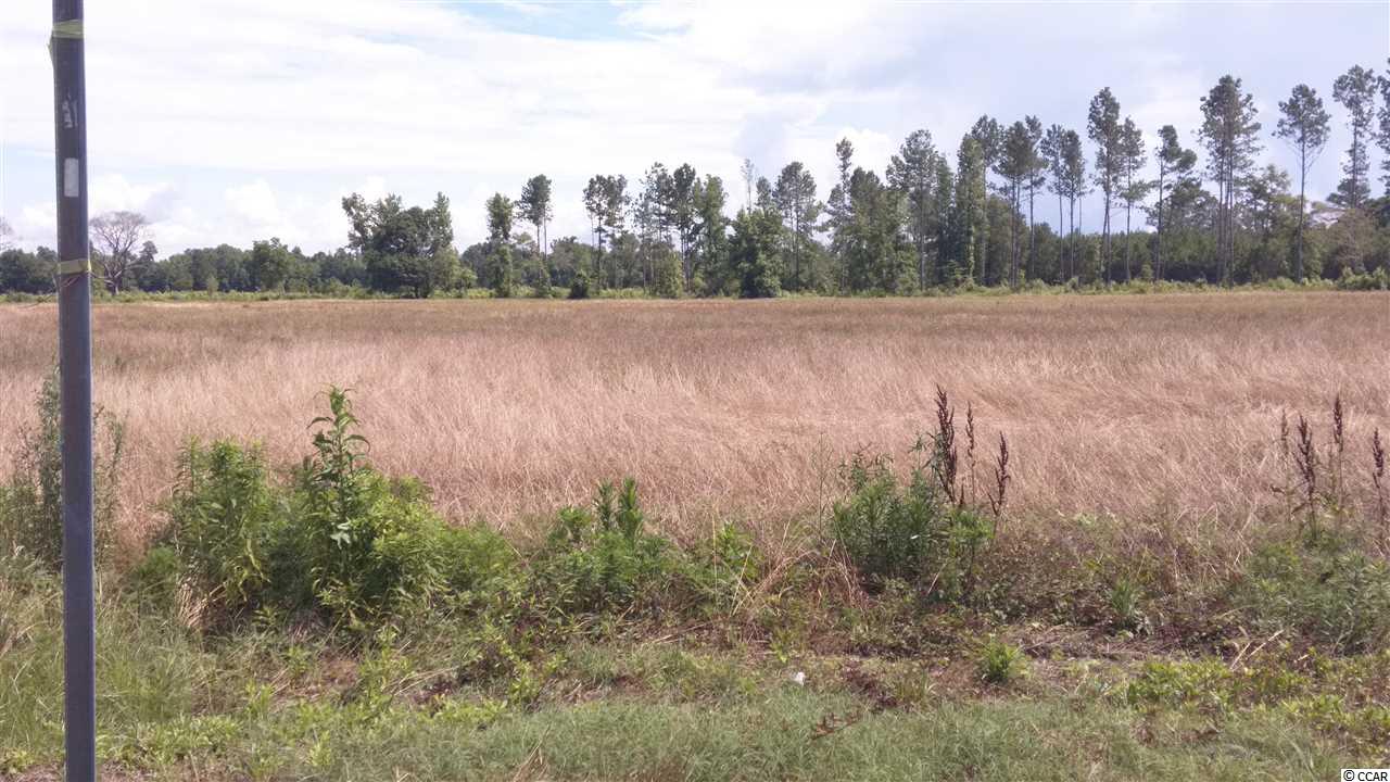Tbd Farmer Road Loris, SC 29569 - Photo 3 of 5 Gallery Image 3