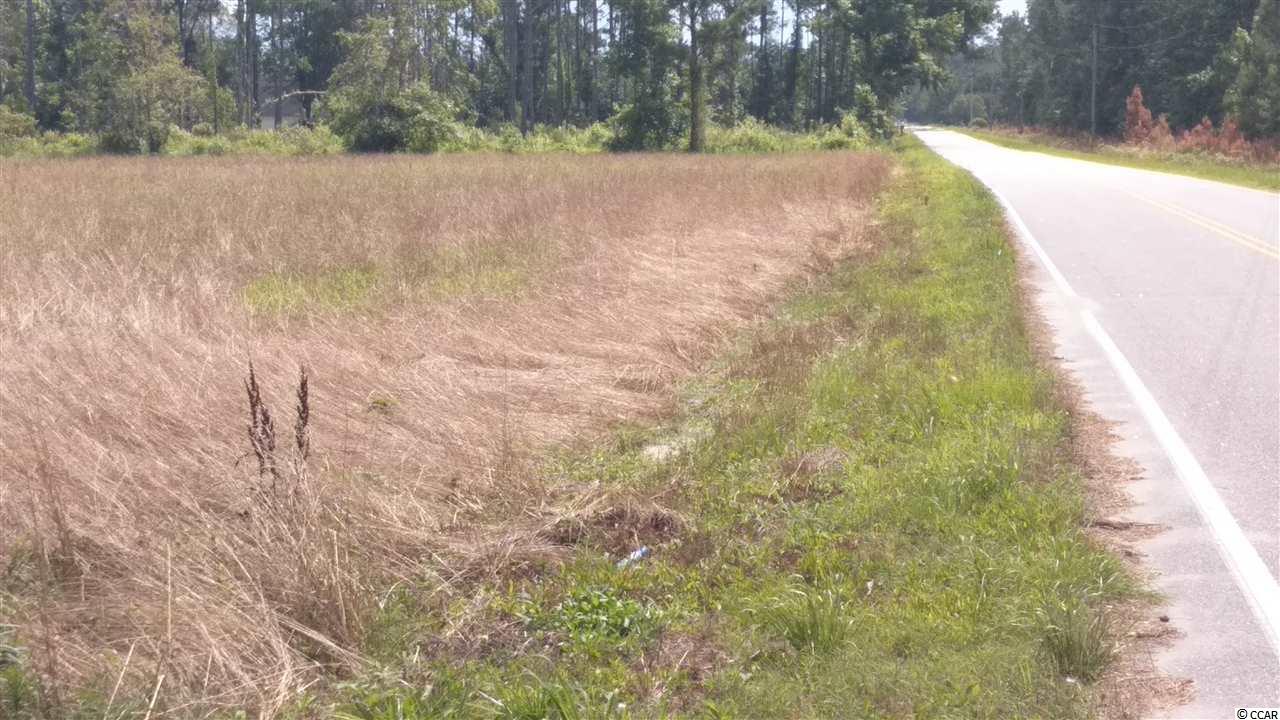 Tbd Farmer Road Loris, SC 29569 - Photo 4 of 5 Gallery Image 4