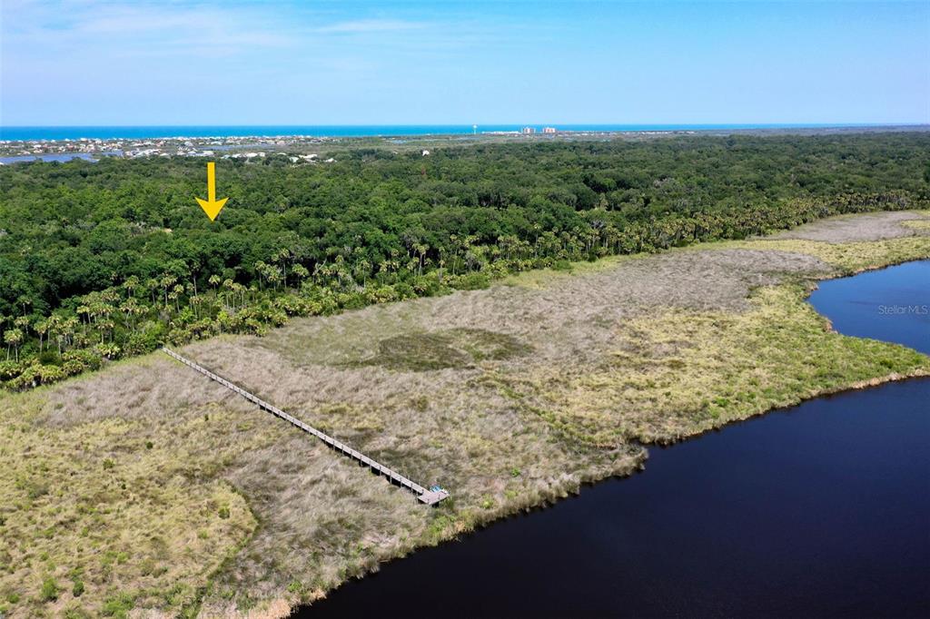 73 Bridle Ridge Court Flagler Beach, FL 32136 - Photo 73 of 90