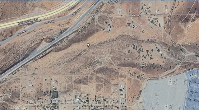 a view of a dry plant with wooden floor