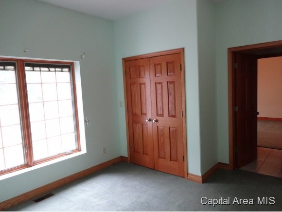 7011 Mansion Road Chatham, IL 62629 - Photo 17 of 24
