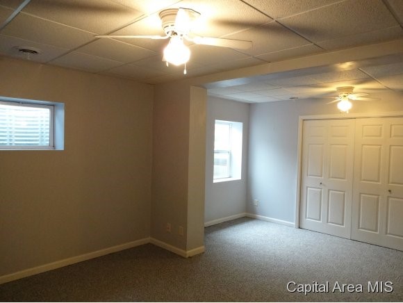 7011 Mansion Road Chatham, IL 62629 - Photo 21 of 24