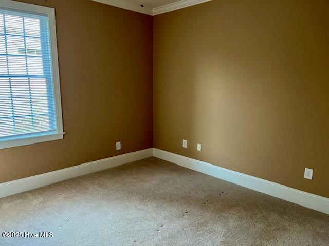 1220 Springvale Terrace Court Leland, NC 28451 - Photo 37 of 43 tempImageR4YysW