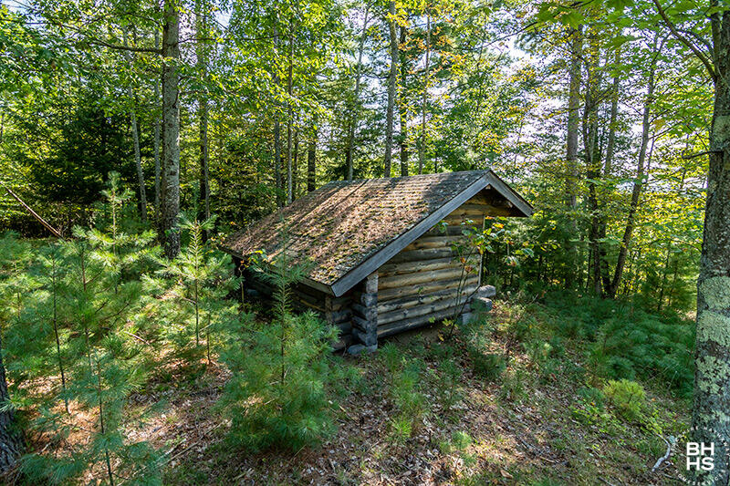 Lot 1 Styles Brook Road Keene, NY 12942 - Photo 7 of 21 Gallery Image 7