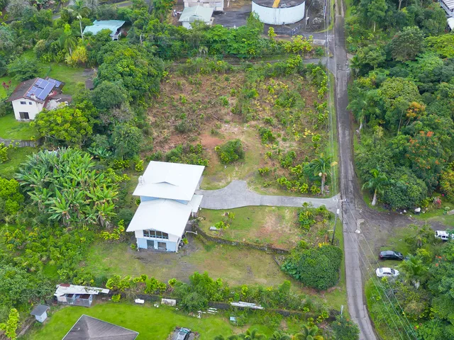 a view of a bunch of trees