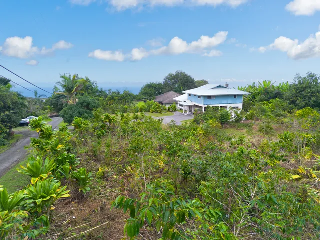 an aerial view of a house with yard and green space