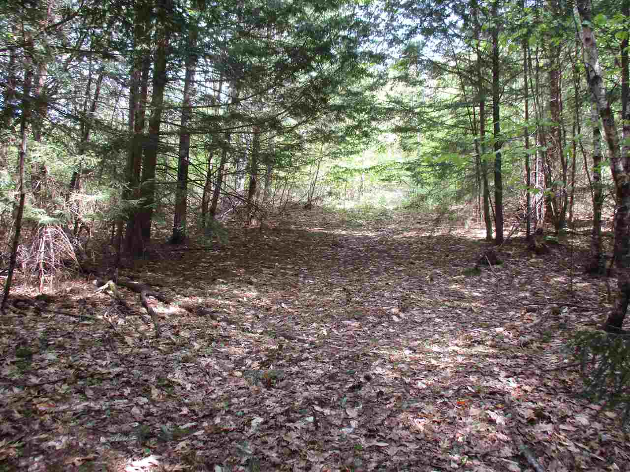 Willey Road, Unit 59 Campton, NH 03223 - Photo 2 of 11