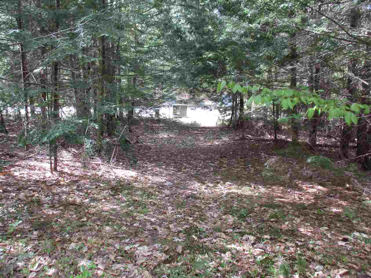 Willey Road, Unit 59 Campton, NH 03223 - Photo 3 of 11