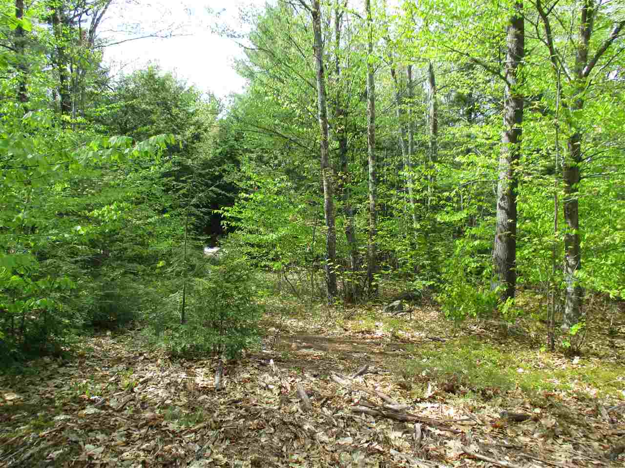 Willey Road, Unit 59 Campton, NH 03223 - Photo 4 of 11