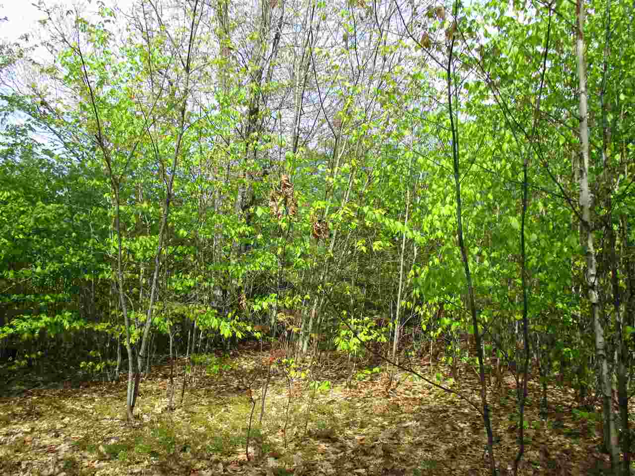 Willey Road, Unit 59 Campton, NH 03223 - Photo 5 of 11