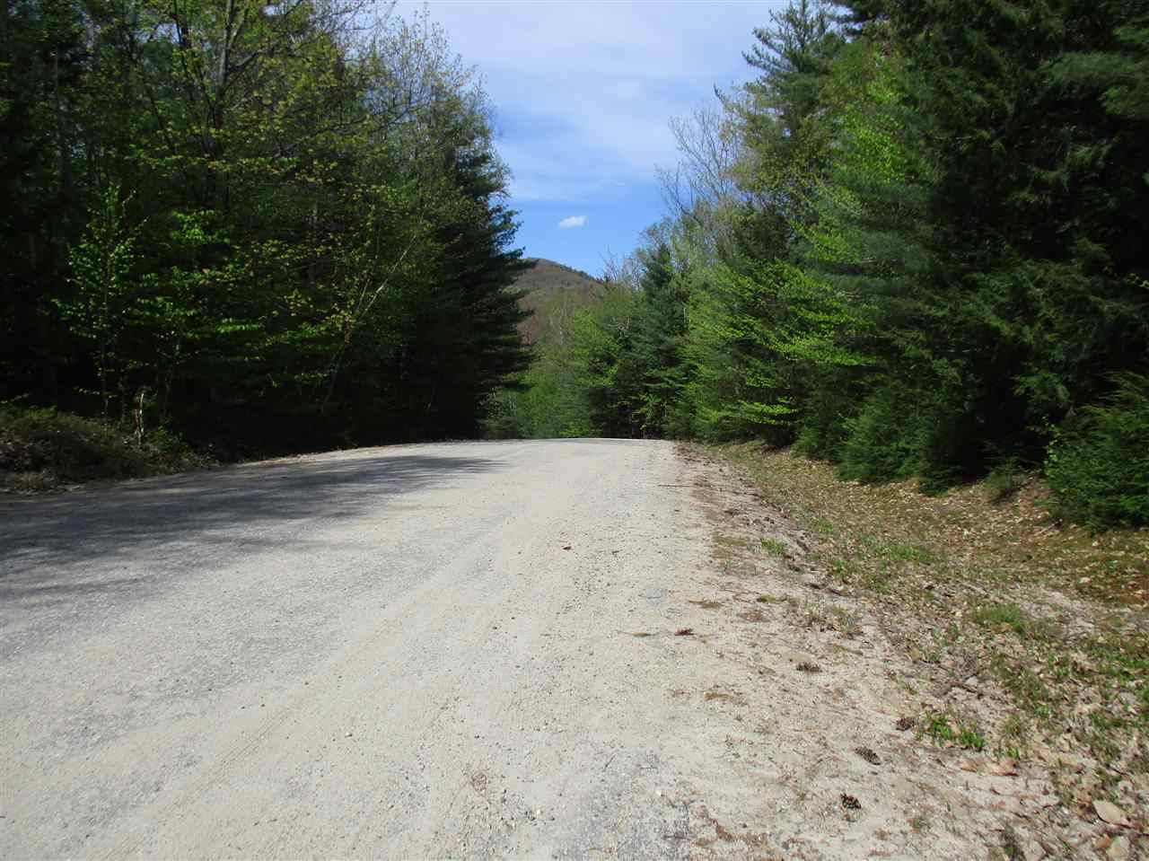 Willey Road, Unit 59 Campton, NH 03223 - Photo 8 of 11
