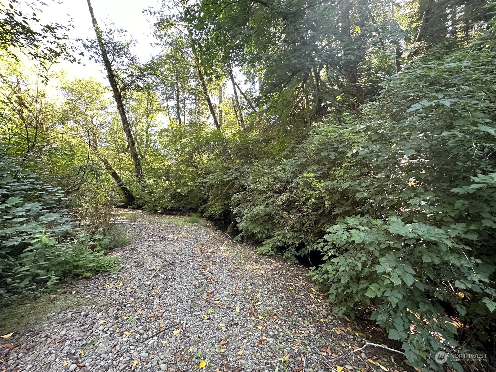 0 Whitcomb-dimmell Rd Forks Forks, WA 98331 - Photo 4 of 8 Gallery Image 4