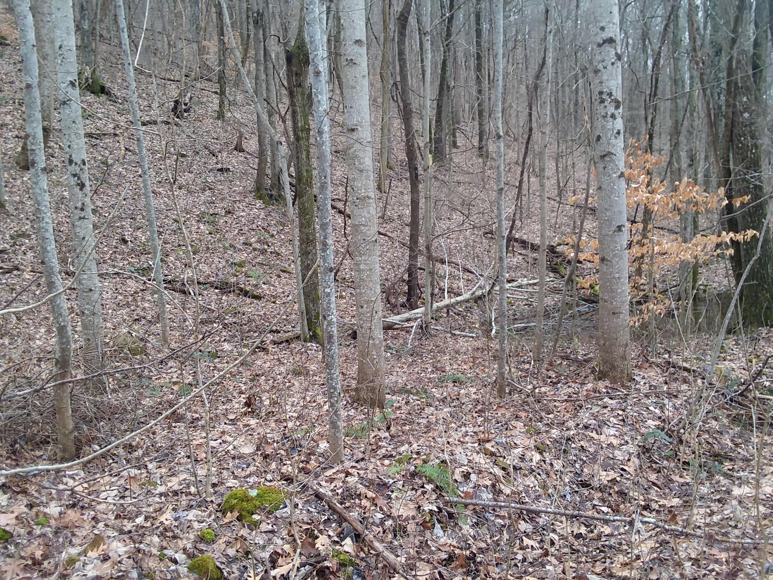 104 Rigsby Toll Road, Unit 104 Pikeville, TN 37367 - Photo 4 of 5 20230125_132754