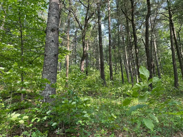 $19,900 | Tbd Ode Circle, Browerville, MN 56438