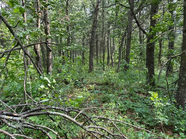 $19,900 | Tbd Ode Circle, Browerville, MN 56438