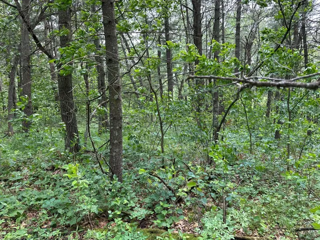 $19,900 | Tbd Ode Circle, Browerville, MN 56438