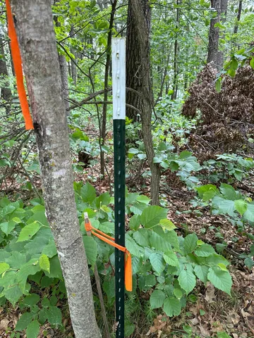 $19,900 | Tbd Ode Circle, Browerville, MN 56438