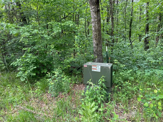 $19,900 | Tbd Ode Circle, Browerville, MN 56438