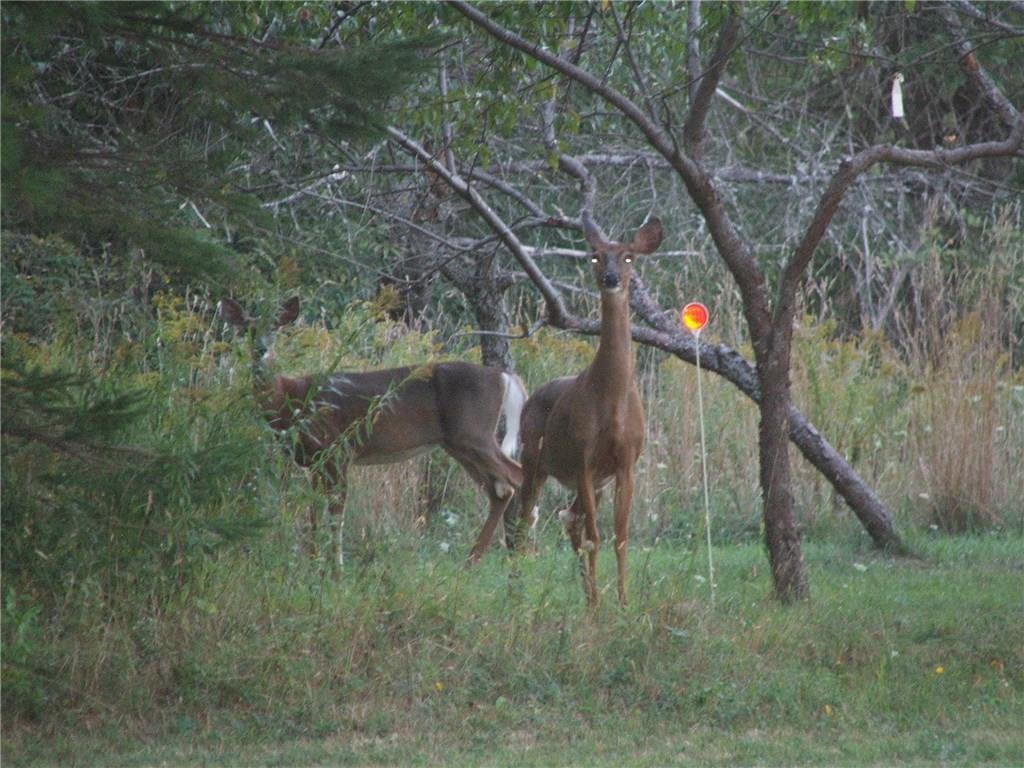 19 Cooper Road Morrill, ME 04952 - Photo 25 of 32 Additional Photo