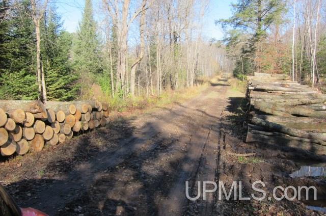 Tbd Byzcek Road Iron River, MI 49935 - Photo 5 of 11