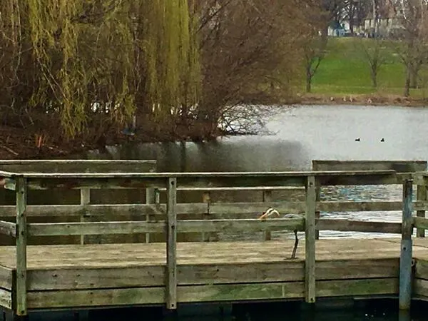 $115,000 | 1300 Powderhorn Terrace, Unit 28, Minneapolis, MN 55407