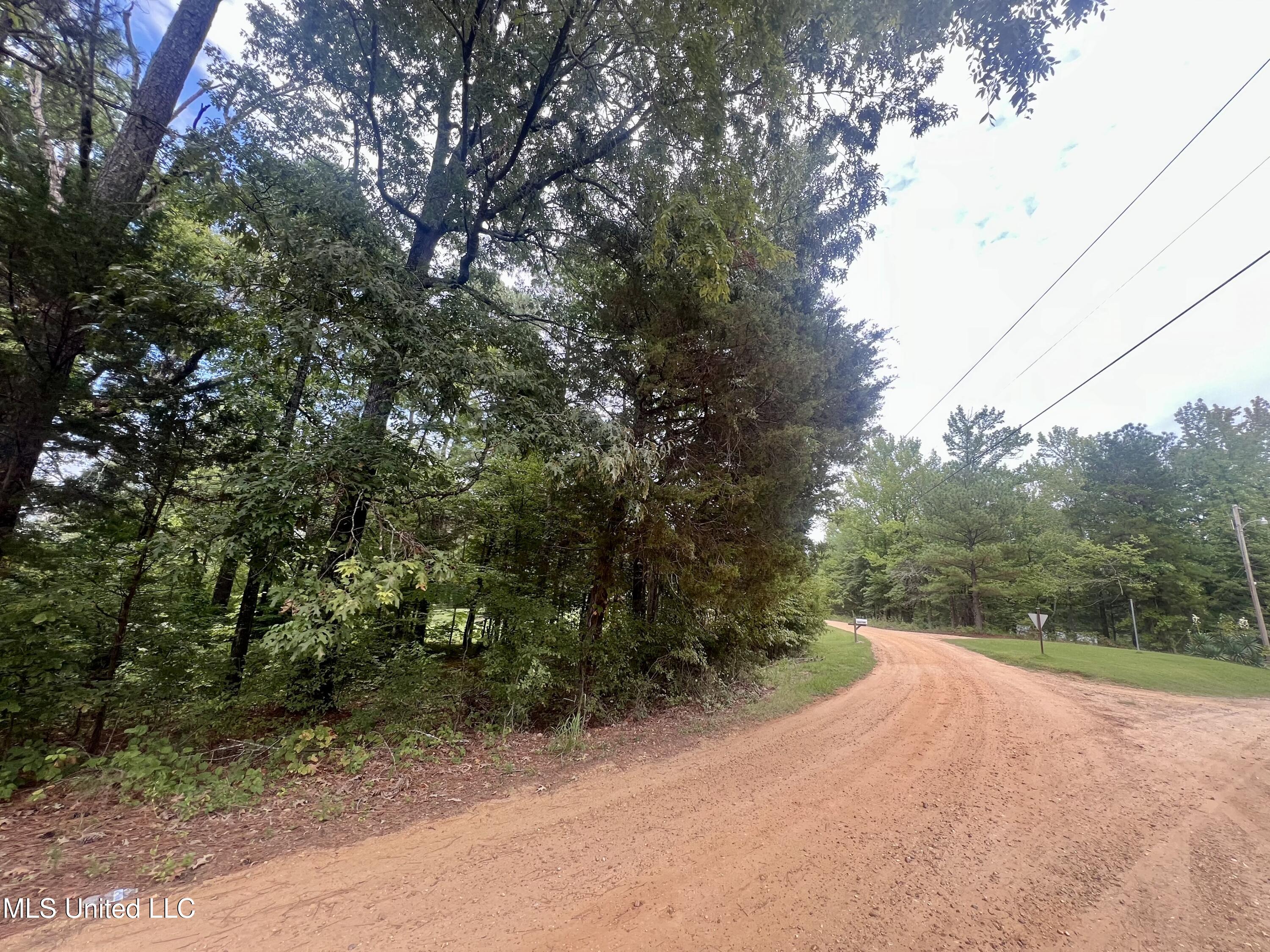 361 Ridge Crest Drive Pope, MS 38658 - Photo 2 of 7 IMG_2778