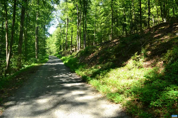 $65,000 | Tbd Damon Road, Schuyler, VA 22969