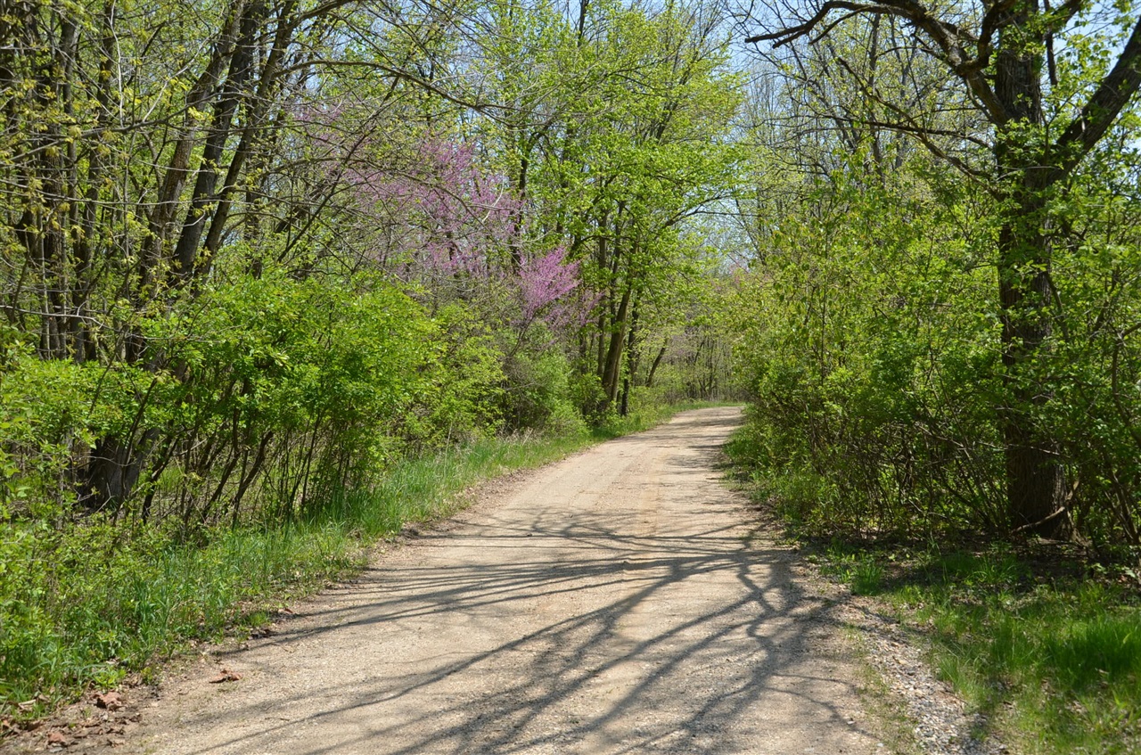 2255 River Road Hastings, MI 49058 - Photo 44 of 94