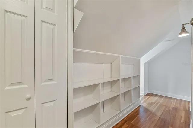 a view of a backyard with plants and large tree