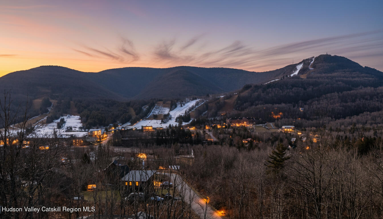 68 Gaby Road Hunter, NY 12442 - Photo 40 of 42 hunter_twilight