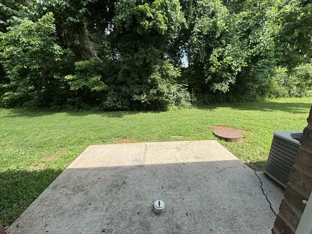 a view of a park with a bench and trees