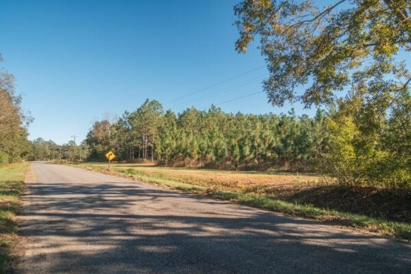 81.71-ac Bold Springs Road Ochlocknee, GA 31773 - Photo 17 of 18 Gallery Image 17