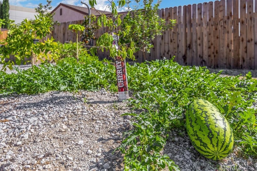 414 South Linden Avenue Rialto, CA 92376 - Photo 30 of 44