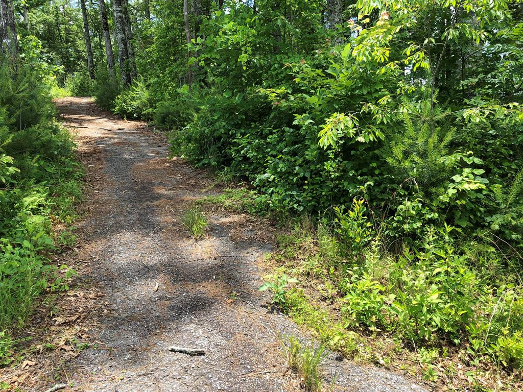 Tbd Martin Road Murphy, NC 28906 - Photo 40 of 50