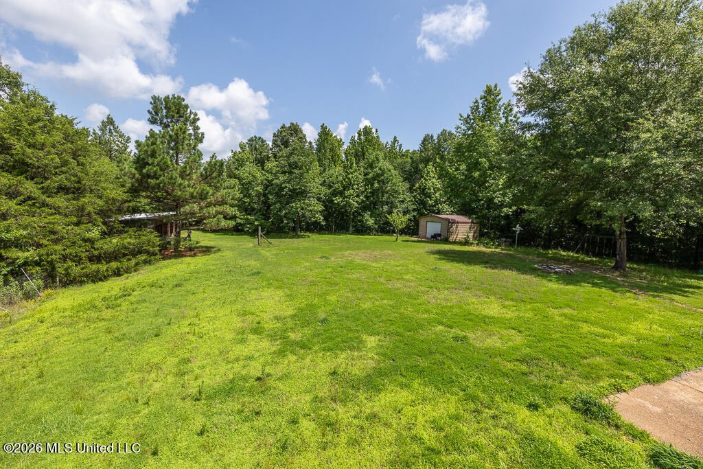 772 Hagen Road Coldwater, MS 38618 - Photo 25 of 35 Hagen-35-23