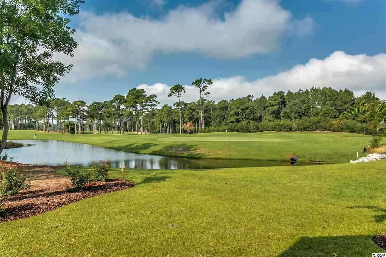6017 Sandy Miles Way Myrtle Beach, SC 29577 - Photo 3 of 38 Gallery Image 3