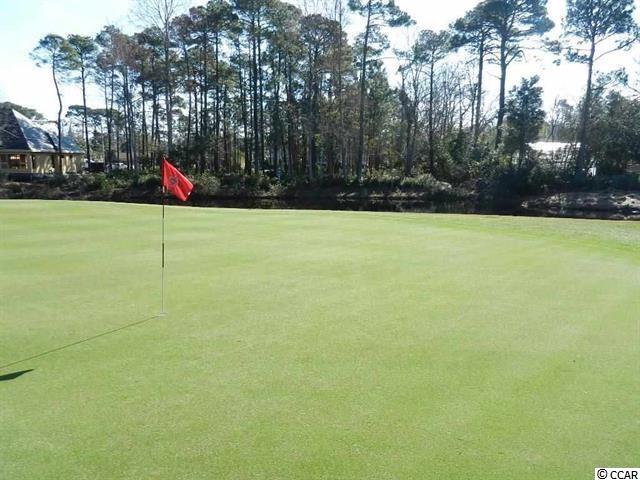 6017 Sandy Miles Way Myrtle Beach, SC 29577 - Photo 38 of 38 Gallery Image 38